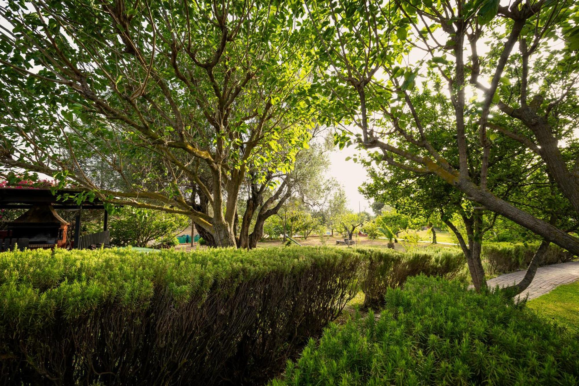 Villehardouin Farm Estate, Studios & Apartments, Minia, Kefalonia Argostoli  Ngoại thất bức ảnh