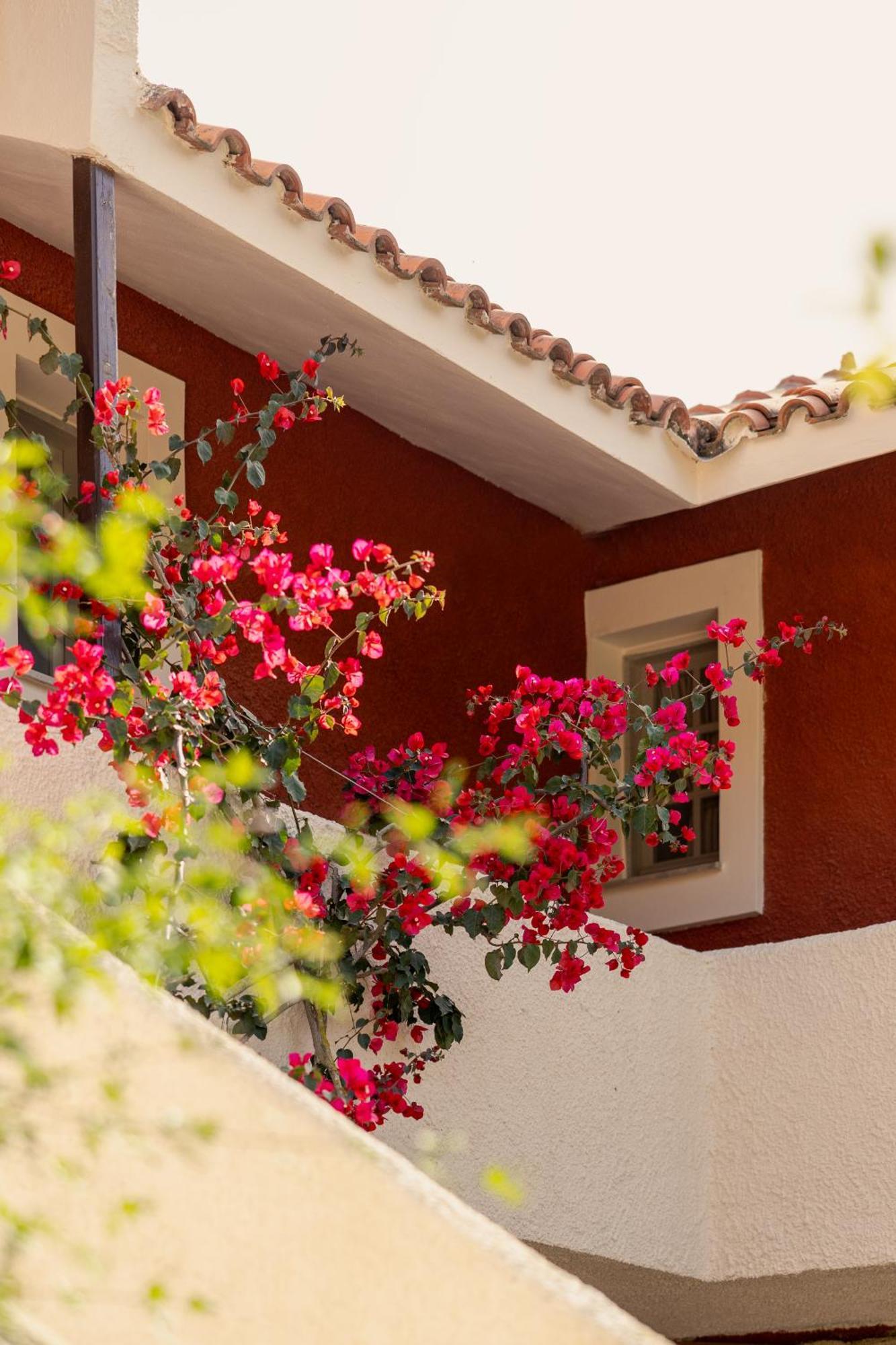 Villehardouin Farm Estate, Studios & Apartments, Minia, Kefalonia Argostoli  Ngoại thất bức ảnh